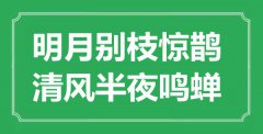 “明月別枝驚鵲，清風(fēng)半夜鳴蟬”是什么意思_出處是哪里