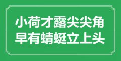 “小荷才露尖尖角，早有蜻蜓立上頭”是