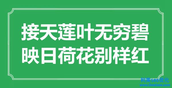 ““接天蓮葉無(wú)量碧，映日荷花別樣紅”是什么意思_出處是哪里