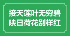 “接天蓮葉無窮碧，映日荷花別樣紅”是